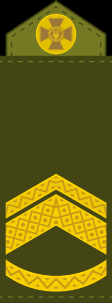 Vom Soldaten zum General: Welche militärischen Ränge haben die Streitkräfte der Ukraine?“ /></p ></p>
<ul>
<li>Oberfeldwebel;</li>
</ul>
<p><p><img decoding=