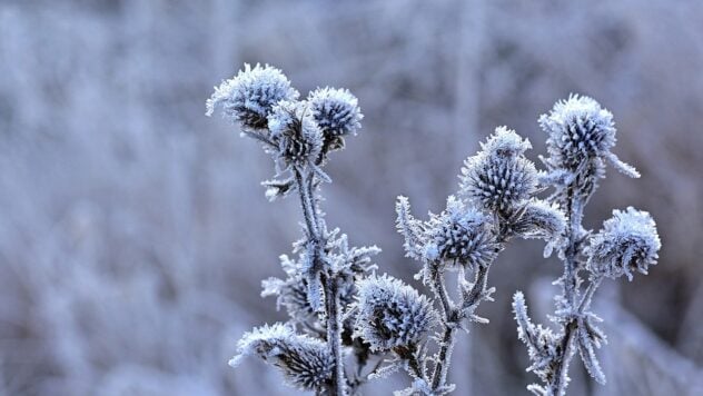 Frostiges Wochenende und Erwärmung: Wettervorhersage in der Ukraine vom 14. bis 22. Dezember