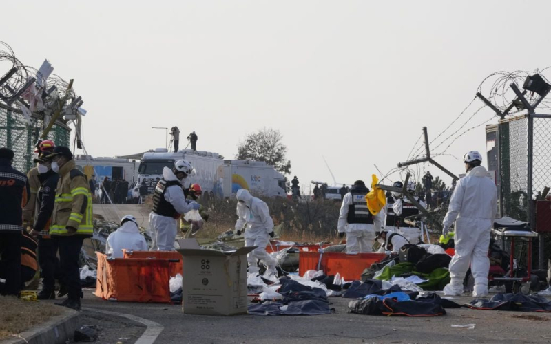 Ein Flugzeug mit Passagieren stürzte in Südkorea ab: Die Leichen aller Toten wurden gefunden