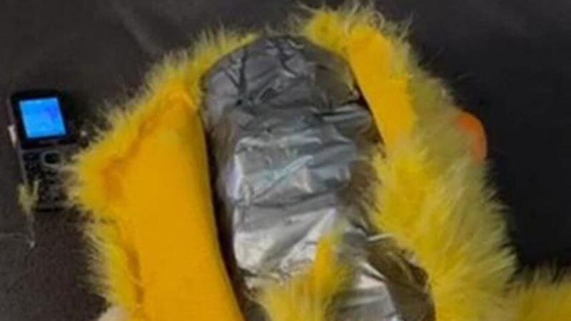 Sie versteckten Sprengstoff in einem Spielzeug: in Shitomir, russische Agenten geplant, eine Polizeieinheit in die Luft zu sprengen