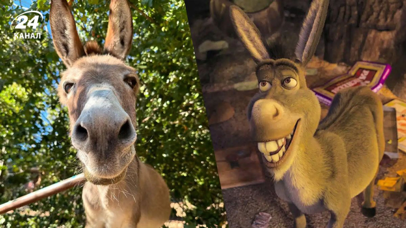 Donkey Perry, der zum Prototyp der Figur aus dem Zeichentrickfilm „Shrek“ wurde, ist in den USA gestorben“ /></p>
<p _ngcontent-sc113=