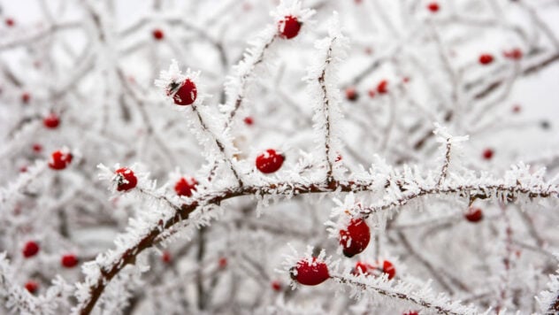 Kaltes Wetter in der Ukraine: Müssen wir mit strengem Frost rechnen?