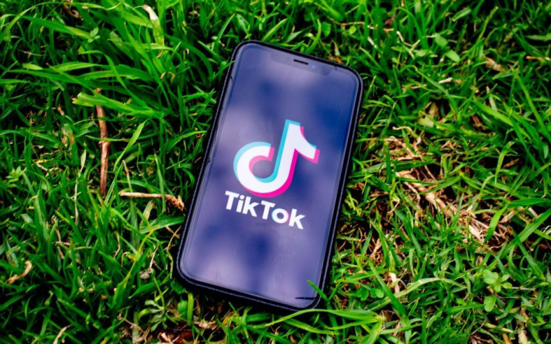 Europäische Länder bereiten ein Verbot von TikTok vor: Einzelheiten einer solchen Entscheidung