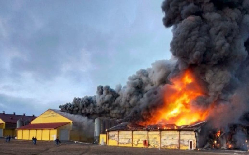 Eine Geflügelfarm in Kursk geriet nach russischer Luftabwehr in Brand: Was bekannt ist (Video)