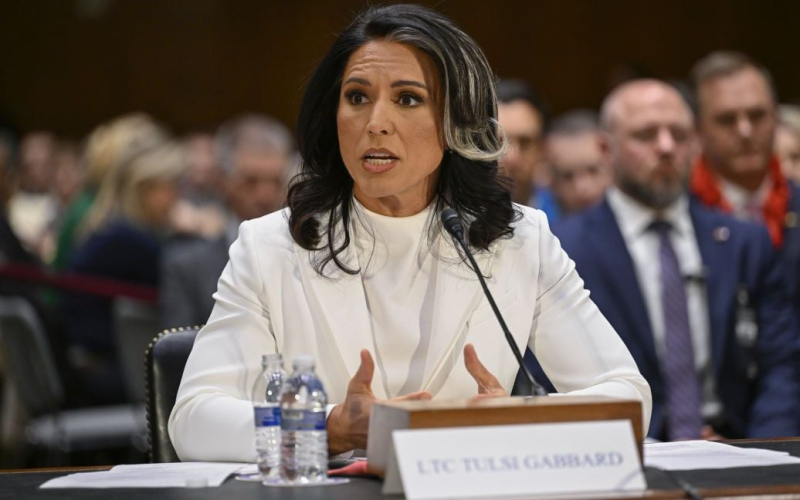 Tulsi Gabbard, die die NATO des Krieges in der Ukraine beschuldigte, ist Direktorin des Nationalen Geheimdienstes der Vereinigten Staaten geworden