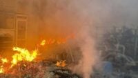  of the Russian fire & mdash; almost 7 thousand squares of the area 